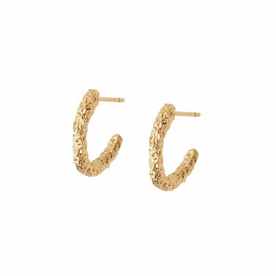 Daisy London Coral Midi Hoop Earrings, Gold